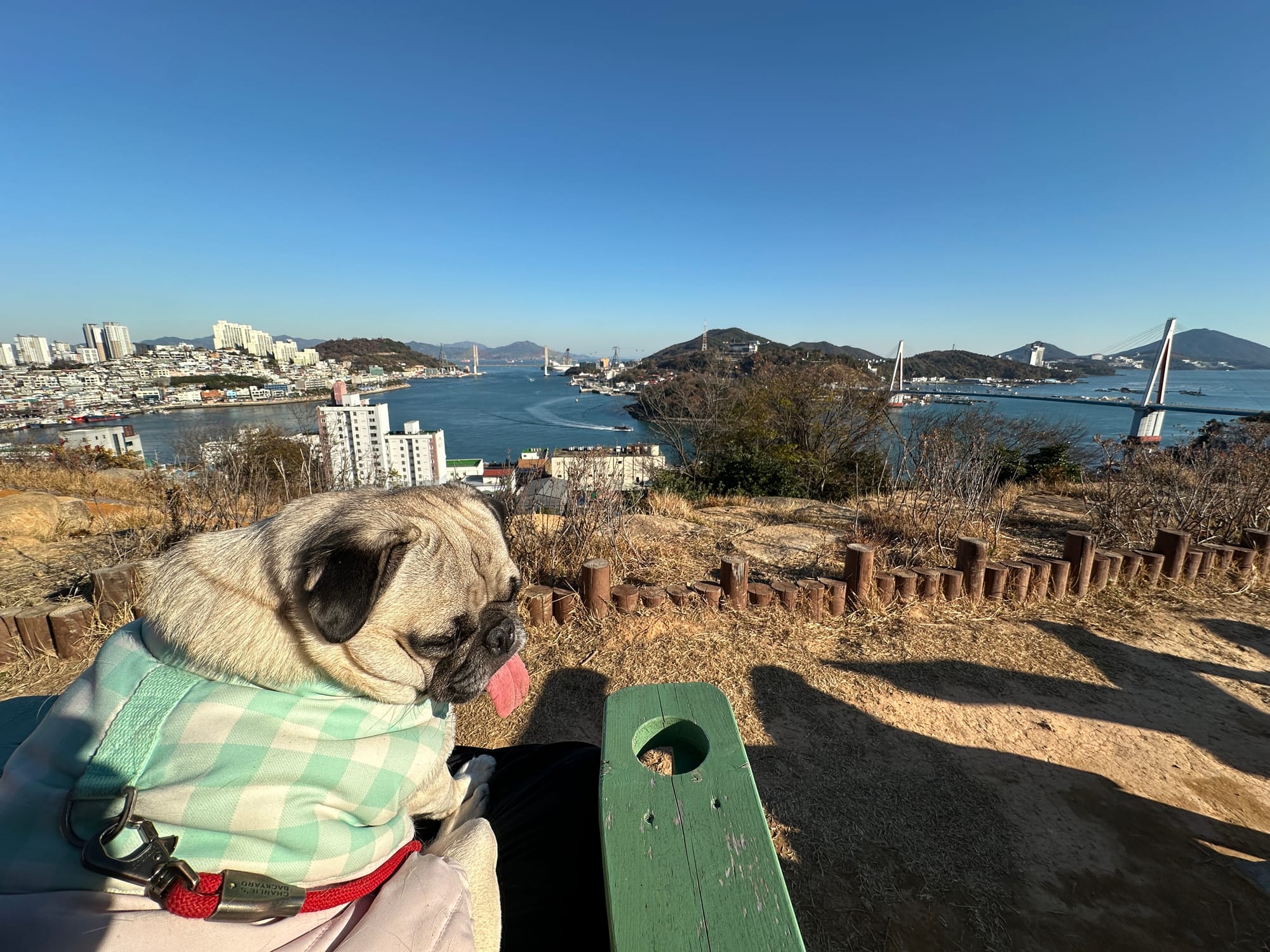 토토와 단둘이 여수 여행