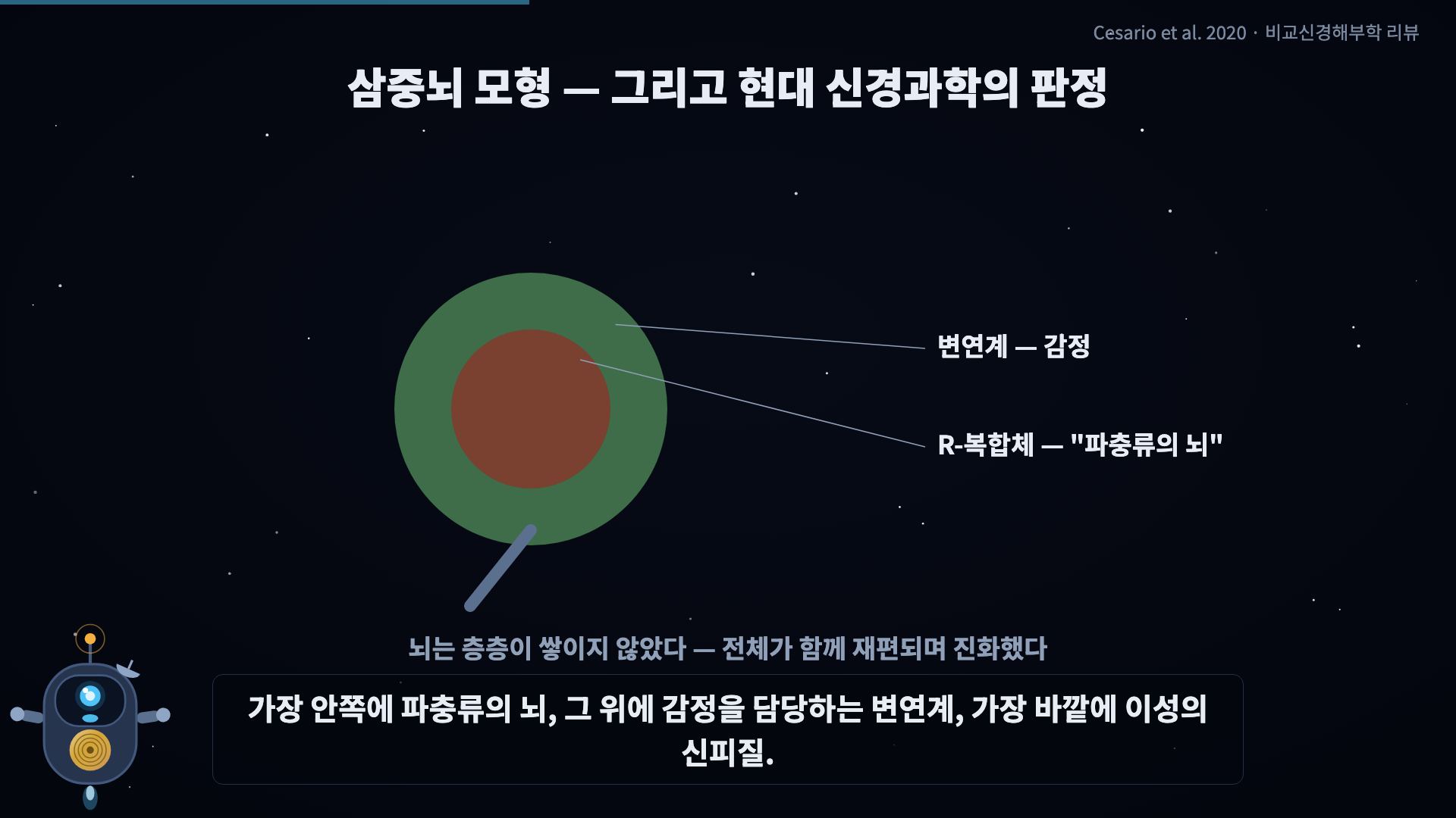 3층 뇌 → 기각 표시