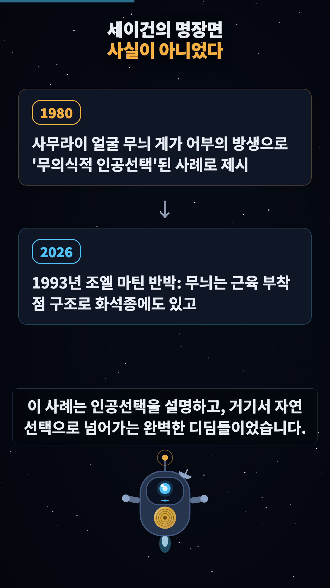 대조