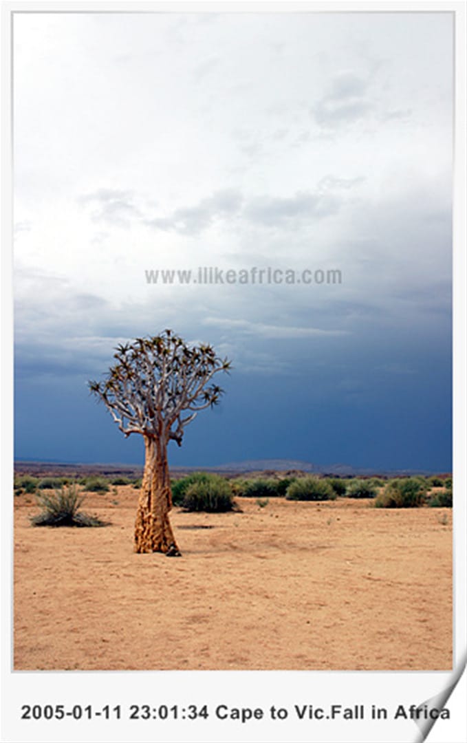 2026년 지구여행 계획안 ver0.5