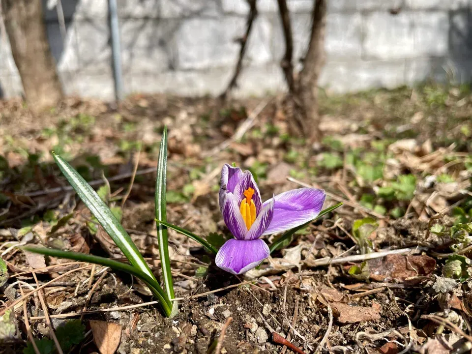 양평 이사 온지 3주째