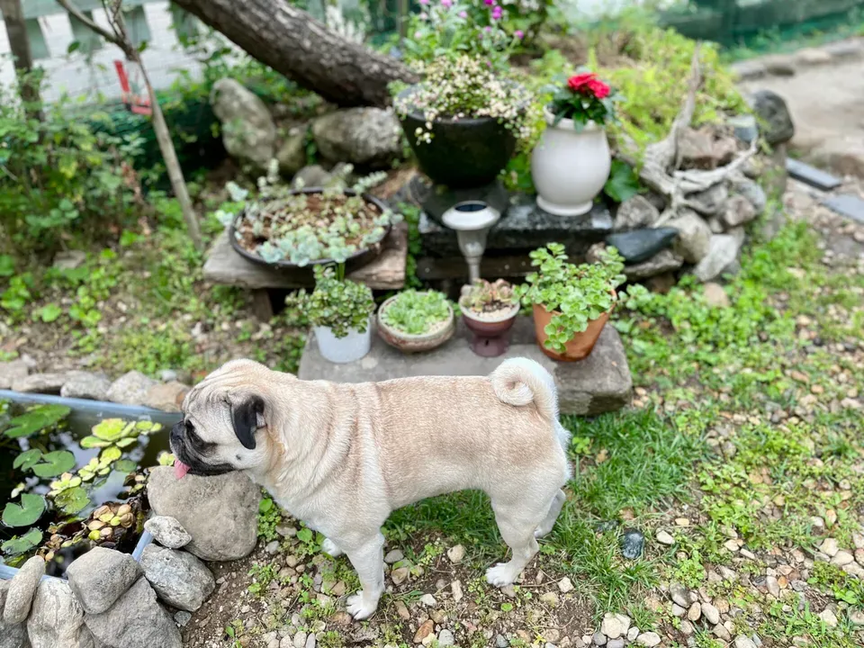 시골 촌집에서의 하루 image