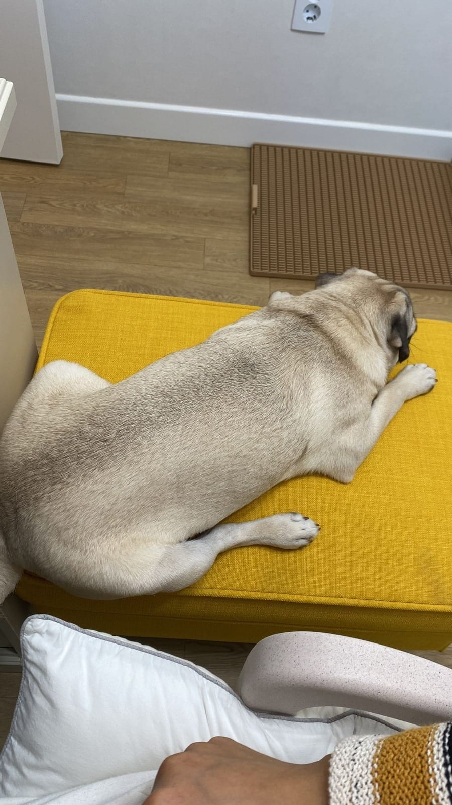 놀아줘요 제발 ㅋㅋ