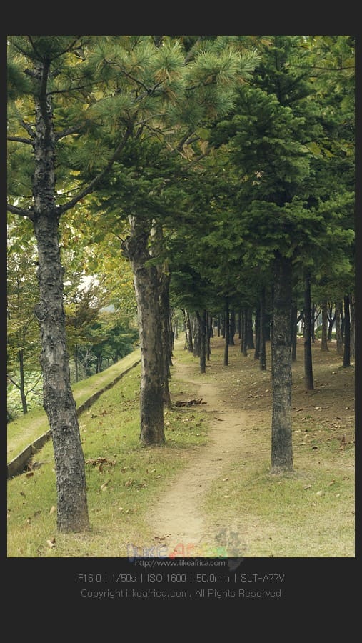 2012년 10월 31일 오후 1시 19분에 저장한 글입니다.