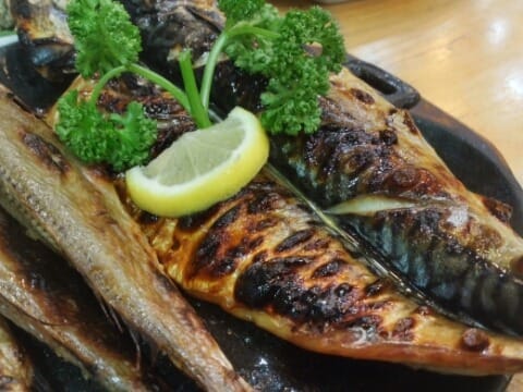 판교 어느 생선구이집