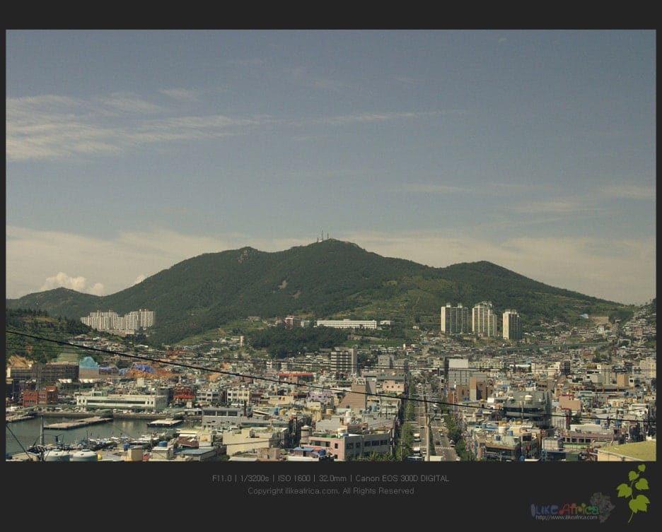 2004년 어느 여름 휴갓날