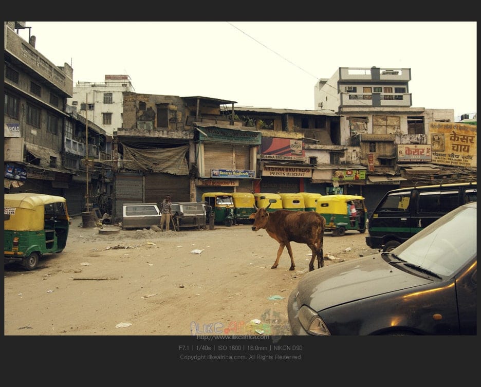 인도의 첫 인상.