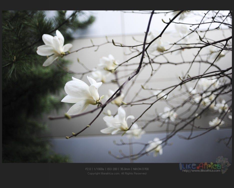 풀떼기 좋은 날 ㅋㅋㅋㅋ