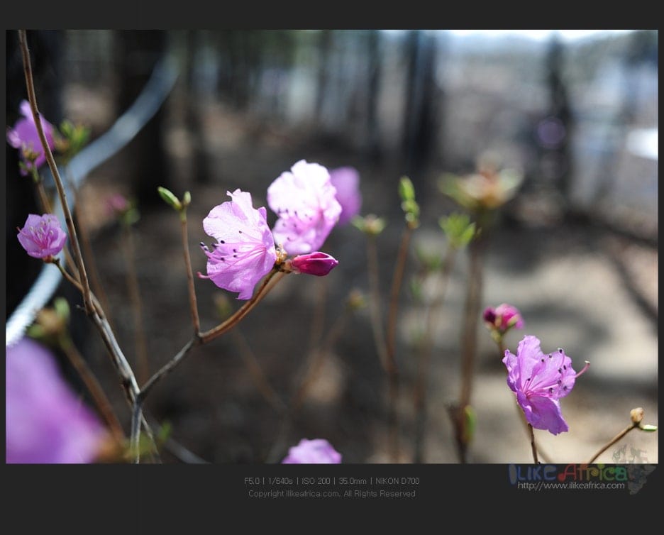 날 좋은날 뒷산 나들이