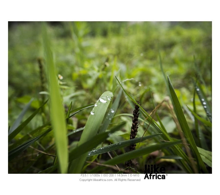 2014년 8월 24일 오후 3시 47분에 저장한 글입니다.