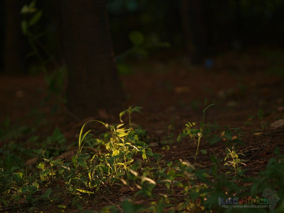거기에 사람 있었다
