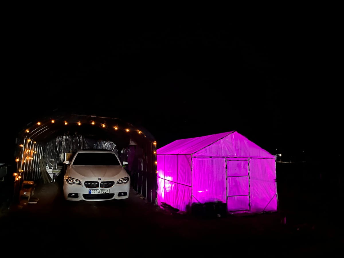 비닐하우스에 인공태양광 설치