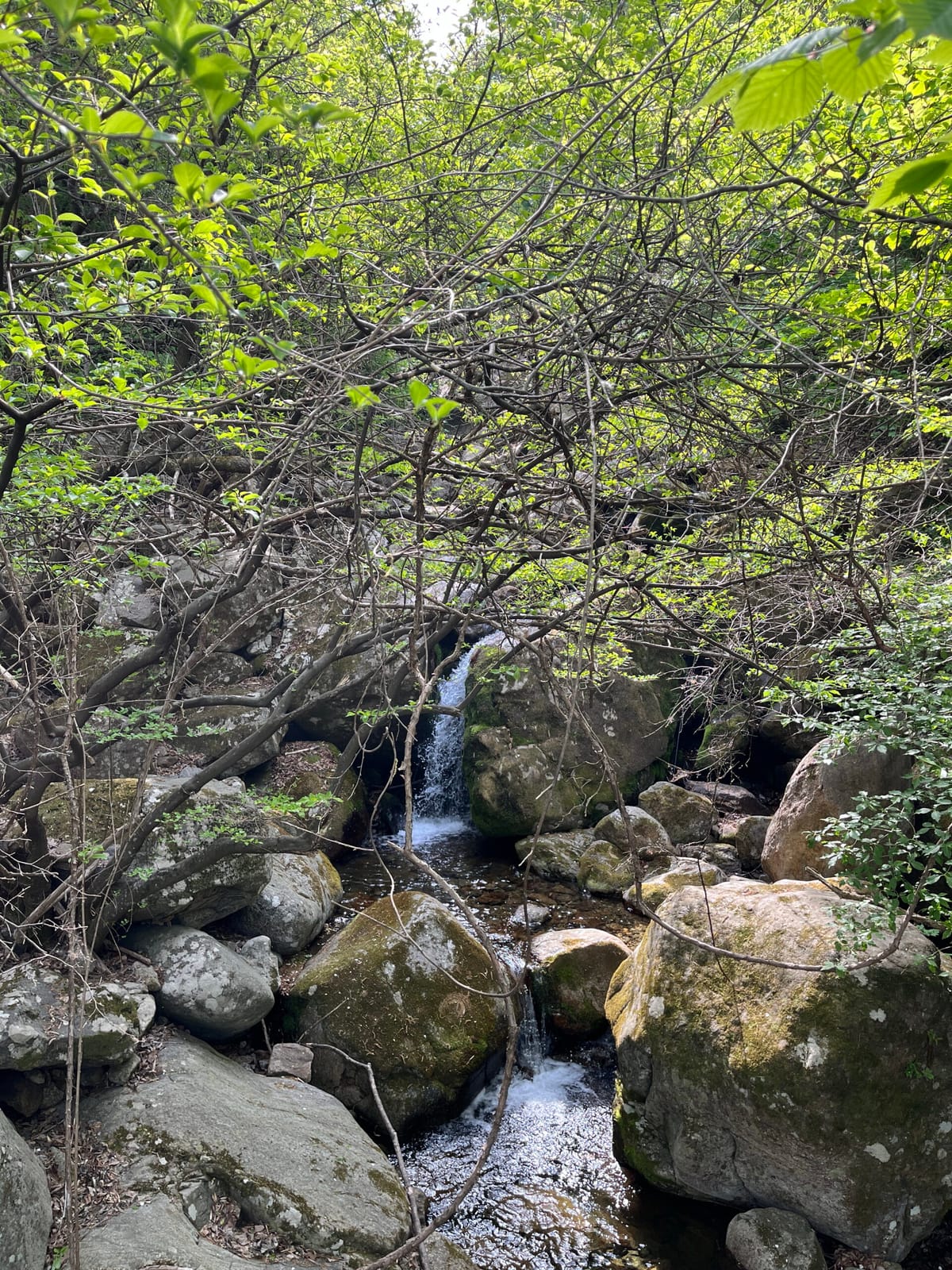 20여년만의 지리산 산행