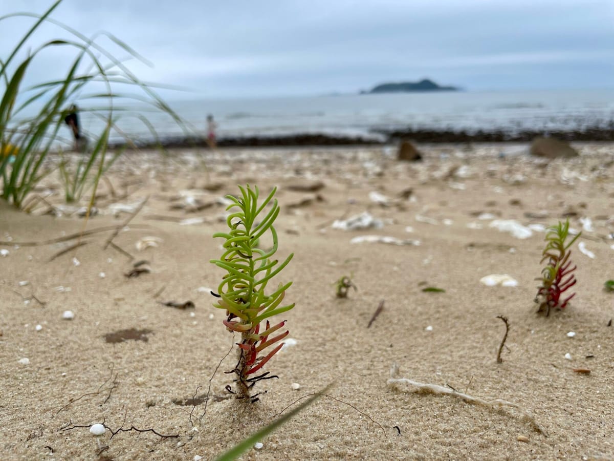여름휴가는 서해안 태안으로~