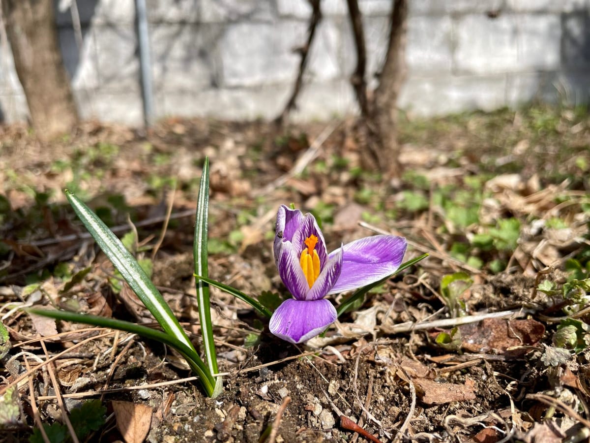 양평 이사 온지 3주째