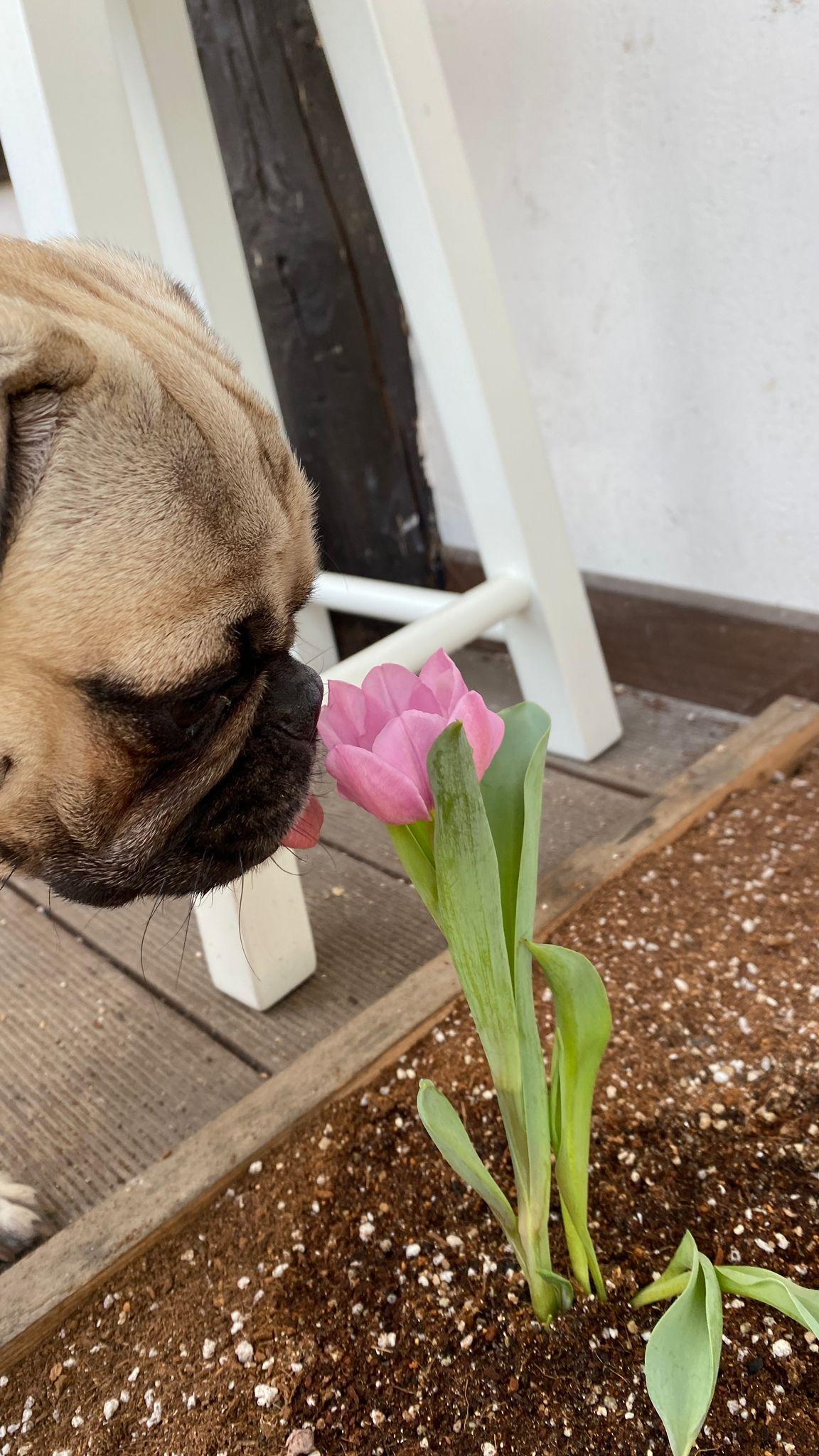 시골의 하루는 참 짧다