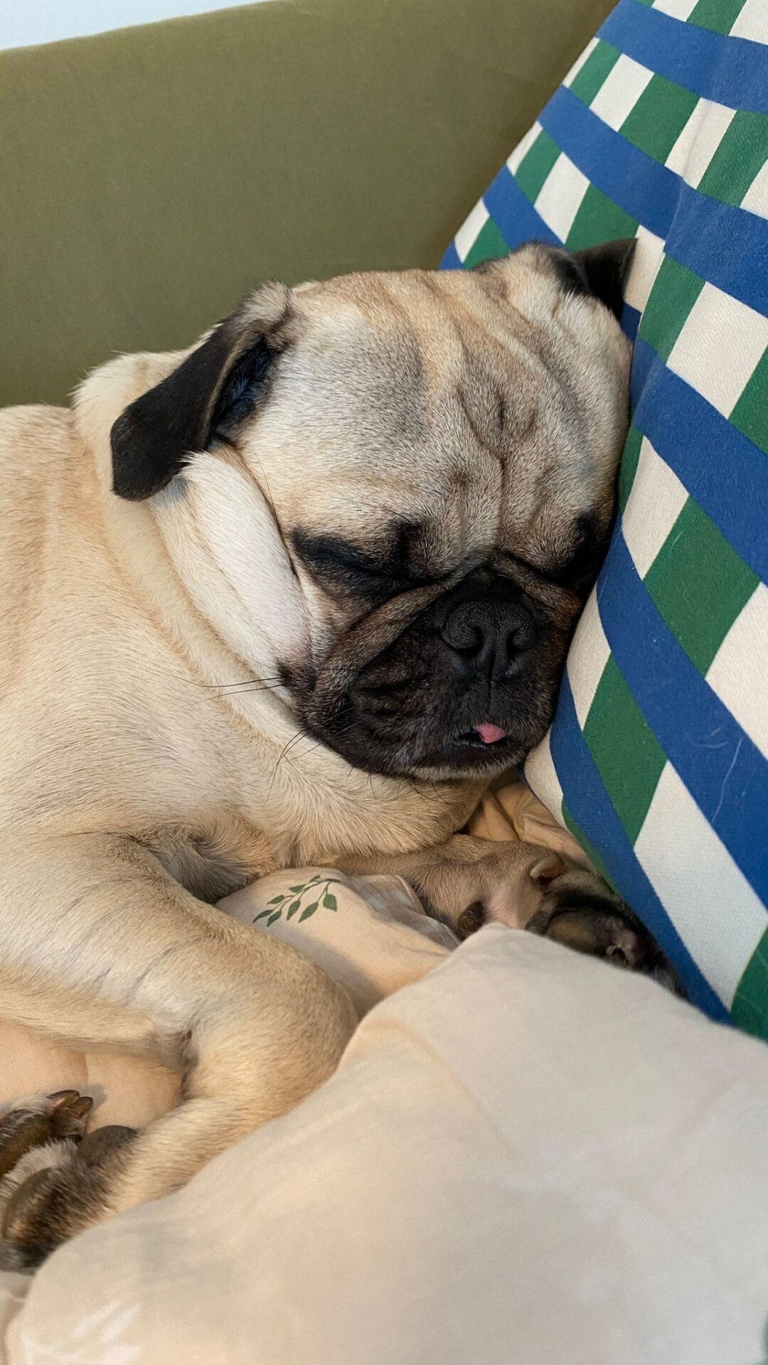 잡초에게도 이름은 있을터