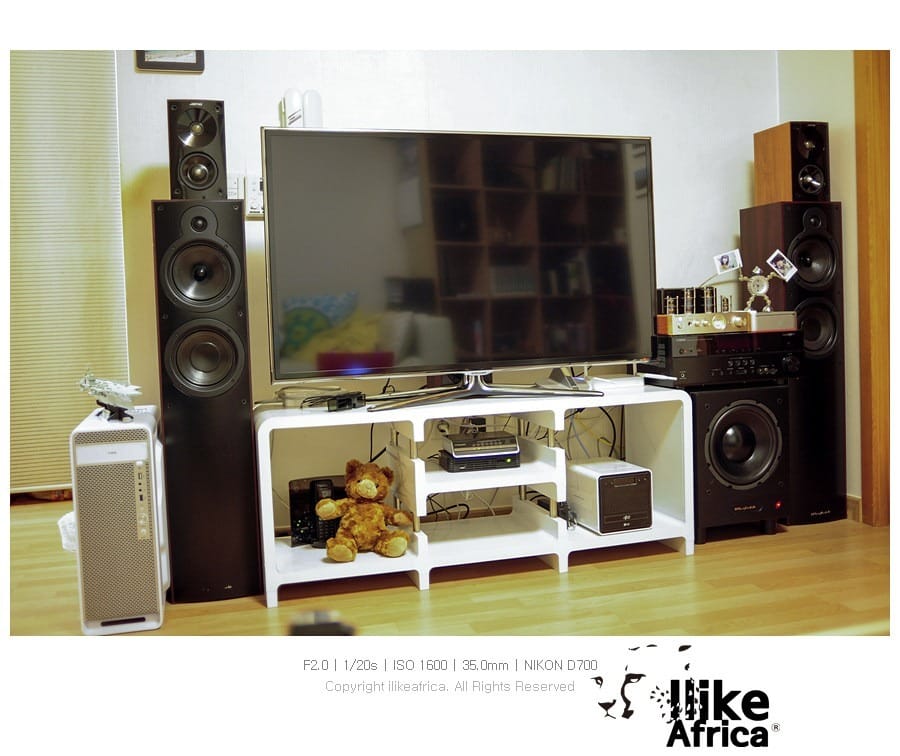 대륙의 실수 진공관 앰프