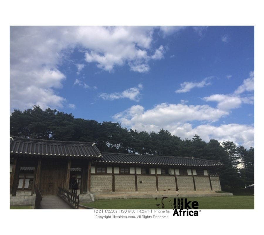 뜻밖의 세종대왕릉 나들이