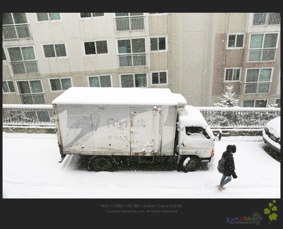 첫눈이 폭설이라 ㄷㄷㄷㄷㄷ