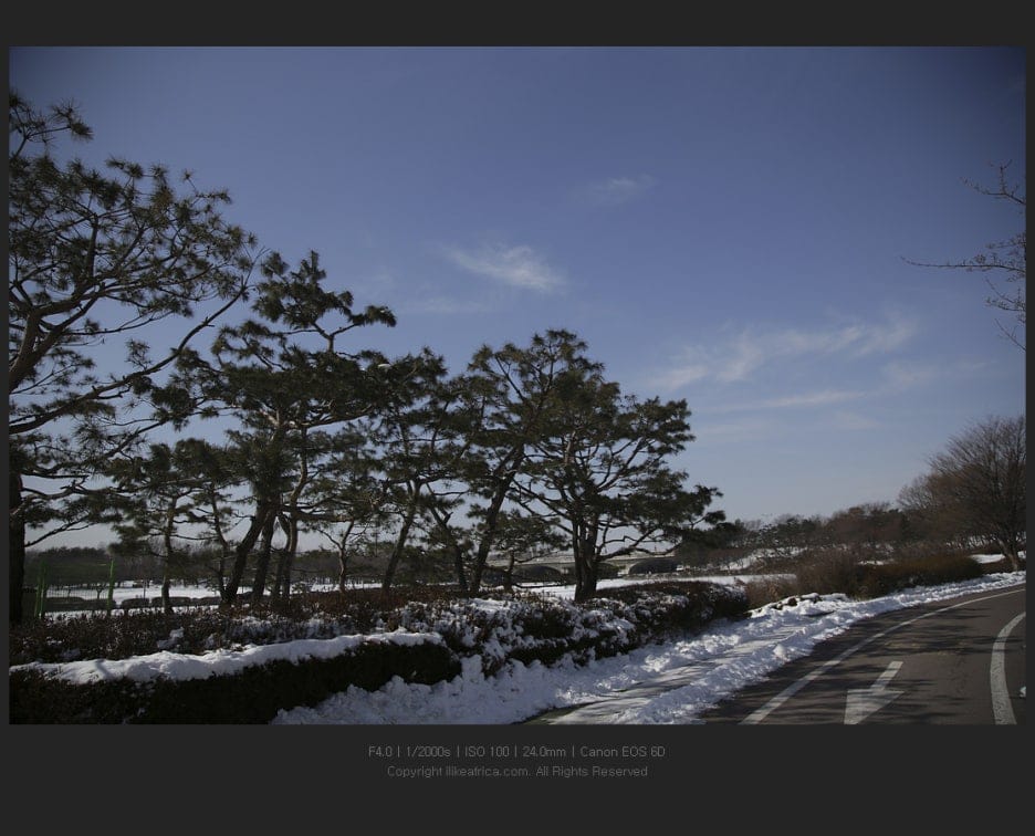 눈 쌓인 일산 호수공원