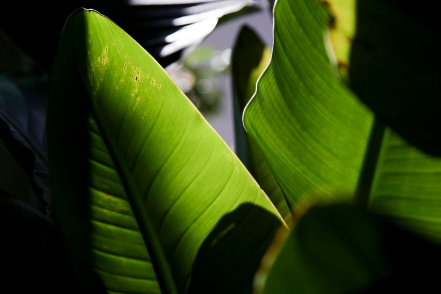 따땃한 날 강남대 산보