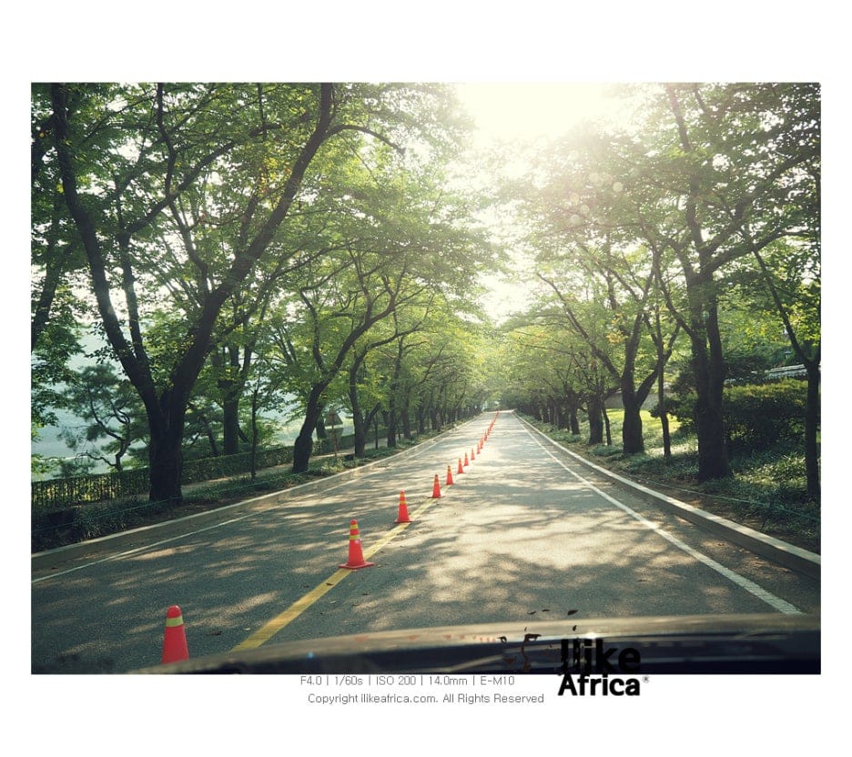 호암미술과 희원.