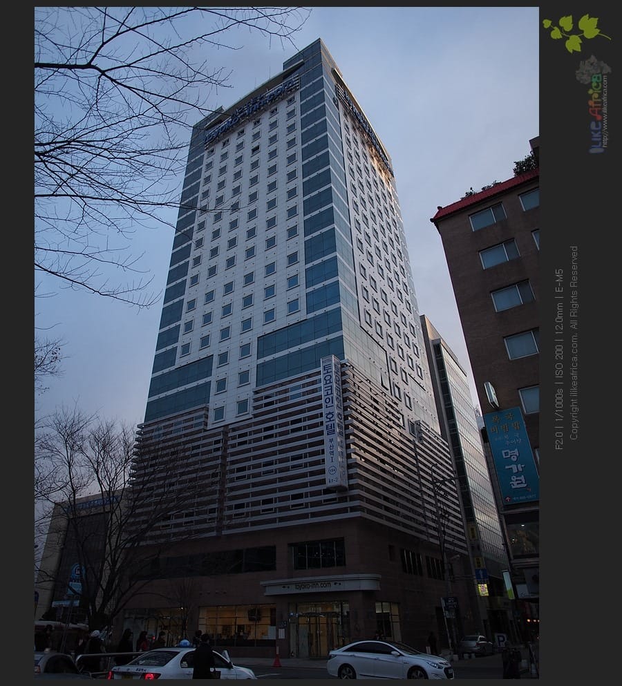 다시 찾은 부산