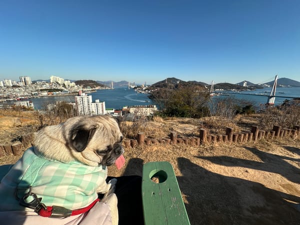 토토와 단둘이 여수 여행