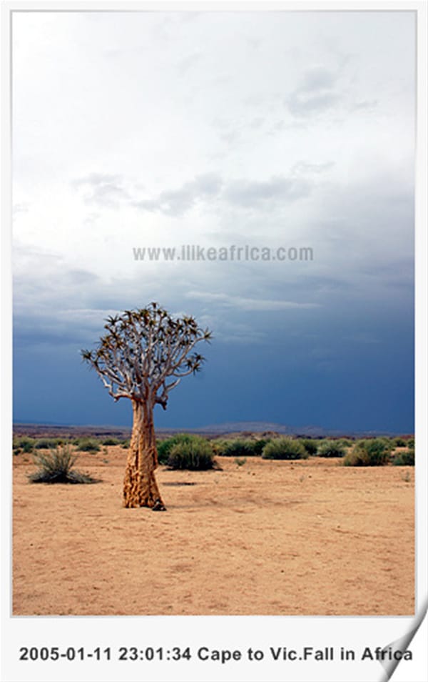 2026년 지구여행 계획안 ver0.5