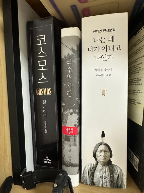 다이소 겨자잎, 루꼴라 씨앗 발아 3일차