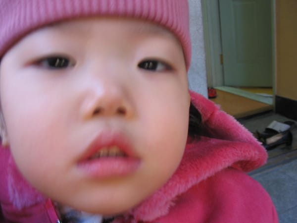 조카 사랑 나라 사랑 image