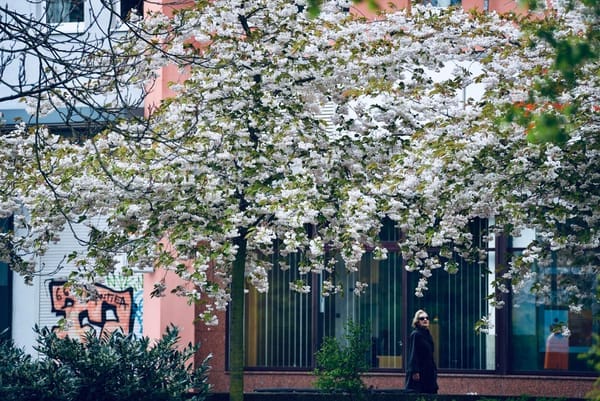 베를린 낯선 풍경