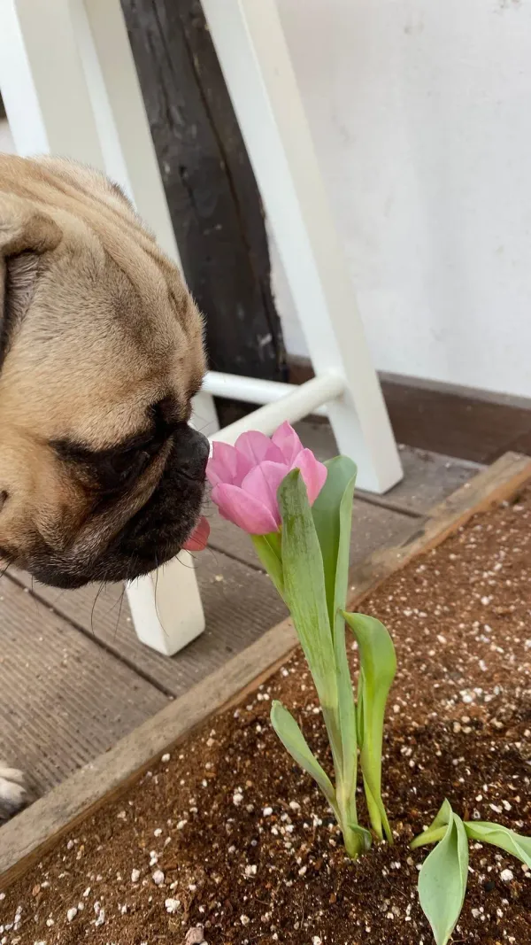 시골의 하루는 참 짧다