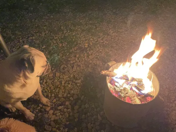 드라마틱한 양평 생활(계단만들기)