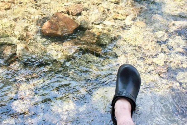 때이른 동네 피서 image