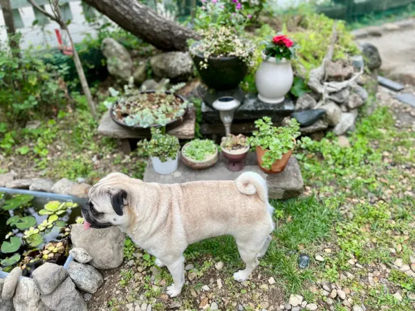 시골 촌집에서의 하루 image