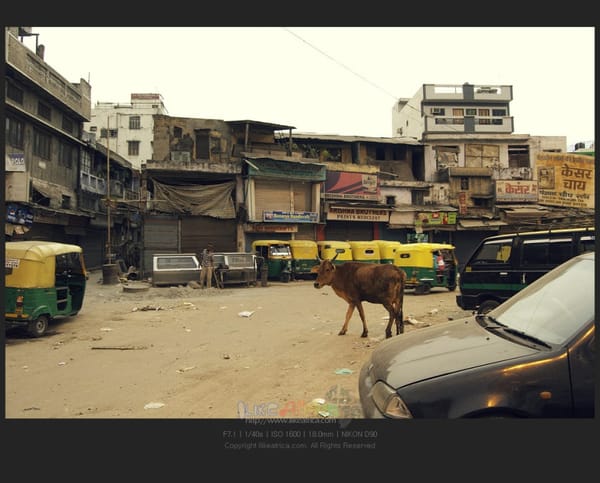 인도의 첫 인상.