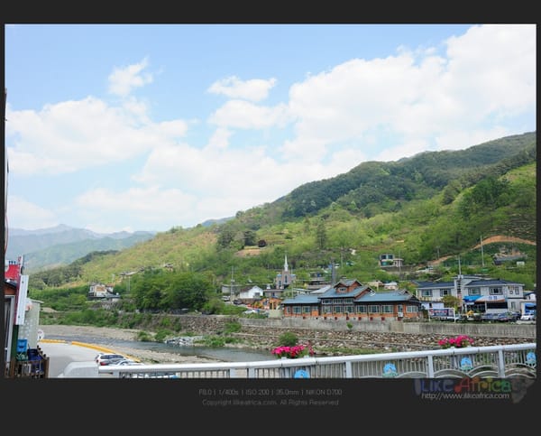 쌍계사 가는 길 1