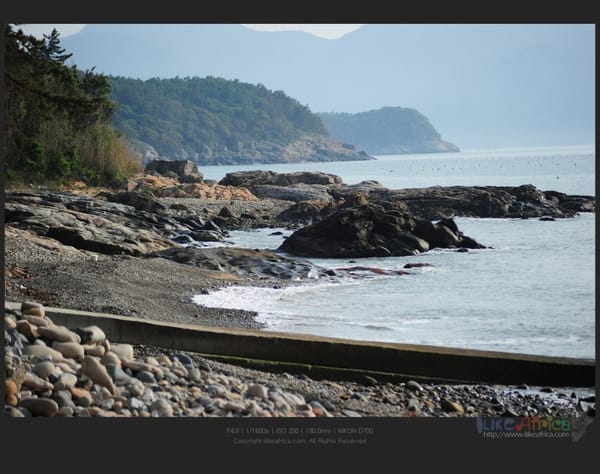 내 고향 바닷가