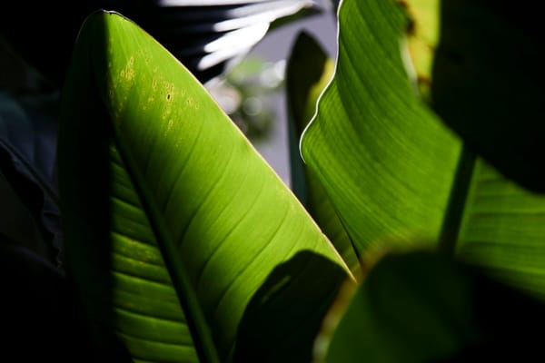 따땃한 날 강남대 산보