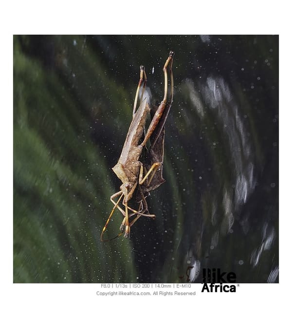 2014년도 추석 여수