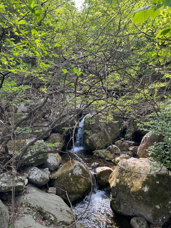20여년만의 지리산 산행