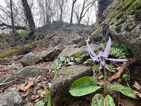 지리산 우중 산행