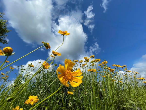 미니 장마 후 하늘 image