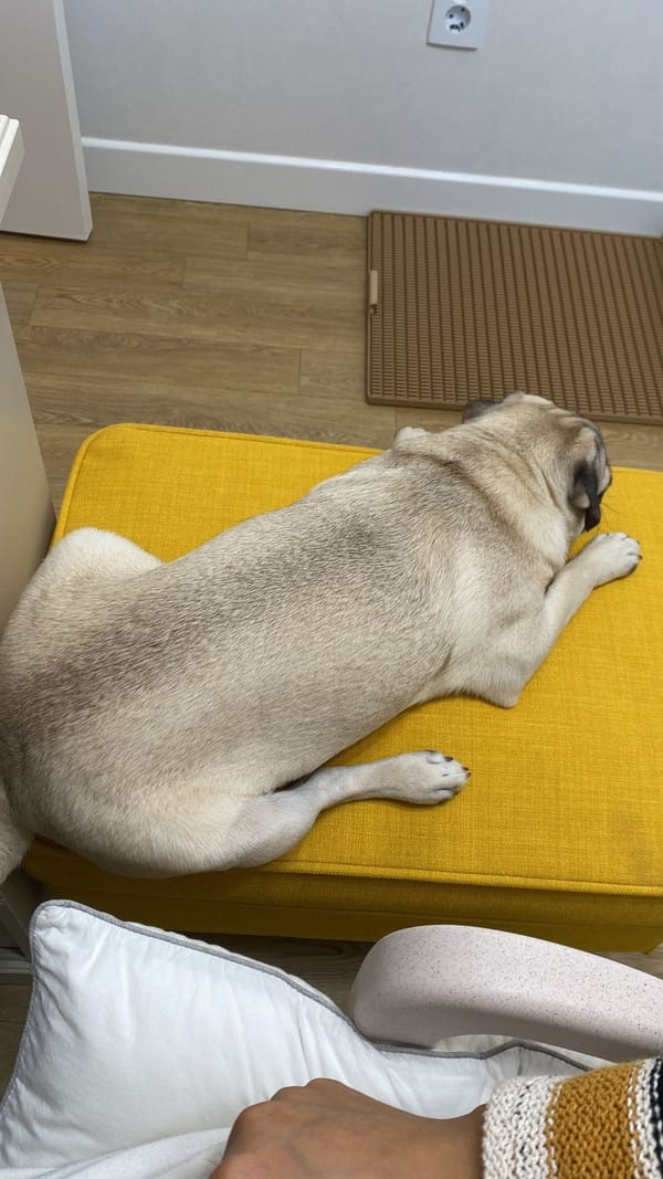 놀아줘요 제발 ㅋㅋ