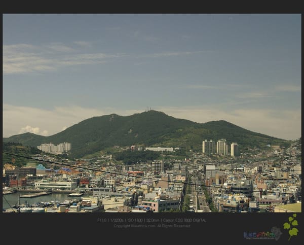 2004년 어느 여름 휴갓날