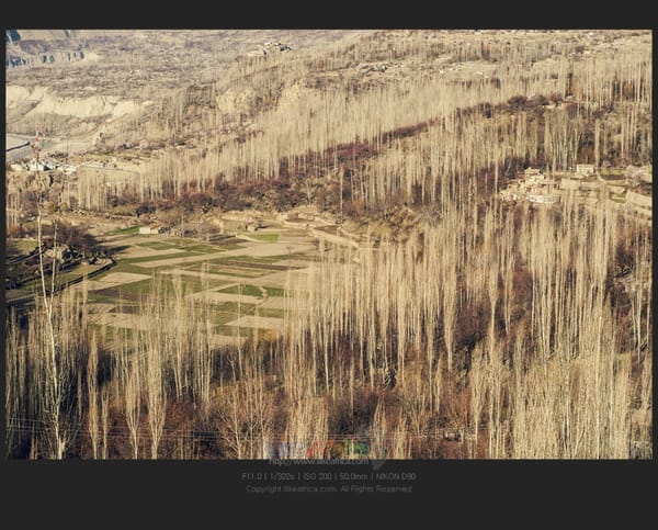 심심하기 그지 없는 동네 훈자마을