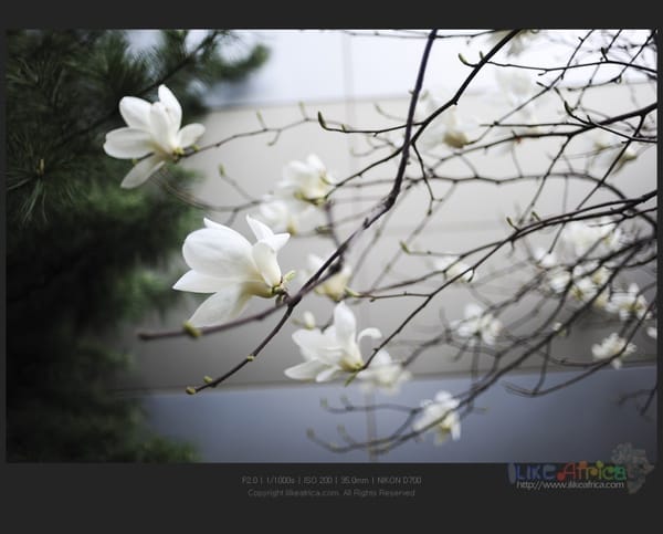 풀떼기 좋은 날 ㅋㅋㅋㅋ