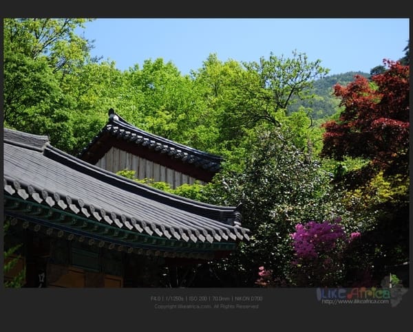 우리네 지붕 참 이쁘더라